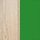 Бук Тиара/Зеленый
